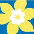 canadian cancer society