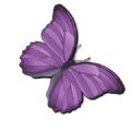 Jazzy123