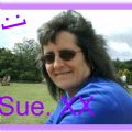 SUE2008