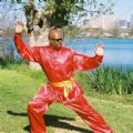 TaiChiFist