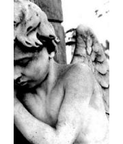 Zachary  Morgan's Memorial