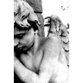 zacharyalexander's Online Memorials