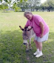 Shirley  Mcquaid's Memorial
