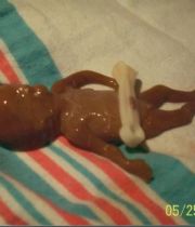 Kyle Lamar Britt Kyle Lamar Britt