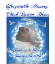 ELIJAH        D.  BROWN's Memorial