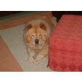 myelvis's Online Memorials