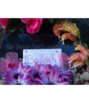 Bayleigh May (Earl) Bungie-Beard's Memorial