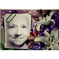 Gina's Online Memorials