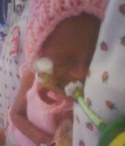 phoebe lane phoebe lane