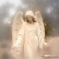 tearsinheaven's Online Memorials