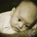 owenlester