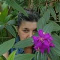 sharonirenegibson's Online Memorials