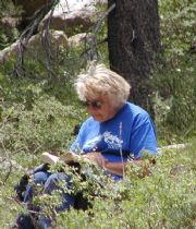 Genevieve Brandt Genevieve Brandt