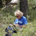 GenBrandt's Online Memorials