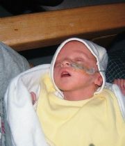 millie o'brien millie o'brien