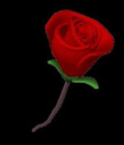 Julie Thommesen Julie Thommesen