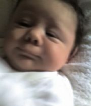 Lewis Greely Lewis Greely