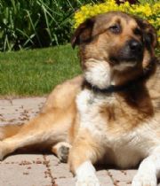 William Thompson William Thompson