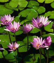 Leonard Hall Leonard Hall