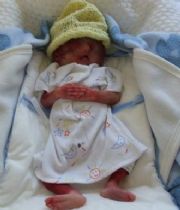 james michael hannon james michael hannon