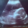 abi-grace-scott