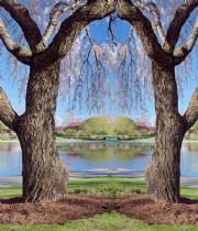 abijith varma abijith varma