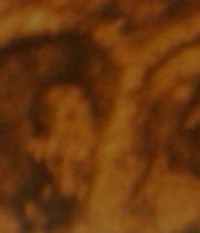 Zeke and Emmerson Lees Zeke and Emmerson Lees