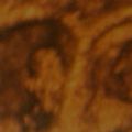 leestwins's Online Memorials