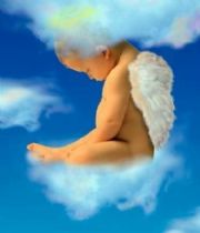 Damien Ruppel Damien Ruppel