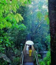 Saseendren R K Saseendren R K