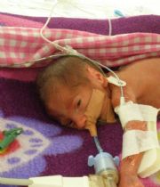 Isabella Grace  Smith's Memorial