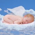 aleashathompson's Online Memorials