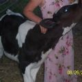 larrypetcalf's Online Memorials