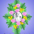 SarahJane's Online Memorials