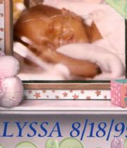Alyssa  Robinson's Memorial