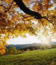 Marion Walters Marion Walters