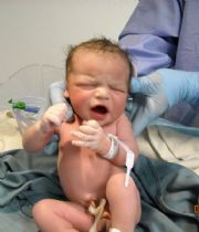 James Wolfe IV James Wolfe IV