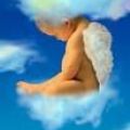 babynatice's Online Memorials