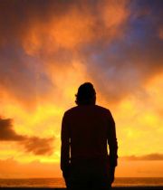 Sebastien Craen Sebastien Craen