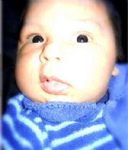 Sergio Alexander Bunda Shevlyakov Sergio Alexander Bunda Shevlyakov