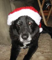 Buddy Wescoat Buddy Wescoat