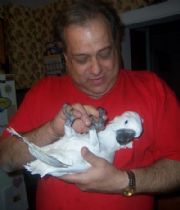 Frank  Fischetti's Memorial