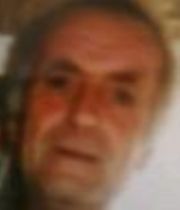 dennis mcnamara dennis mcnamara