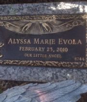 Alyssa Marie Evola Alyssa Marie Evola