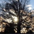 michaeljeffry's Online Memorials
