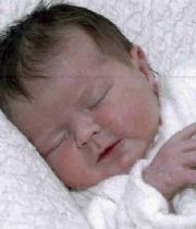 Sophie Rose  Lewis's Memorial