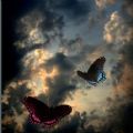 RenyaFaithPaterson's Online Memorials