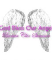 Barisia Summer Barisia Summer