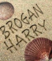 Brogan and Harry's Memorial