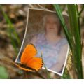 juliamaneggio's Online Memorials